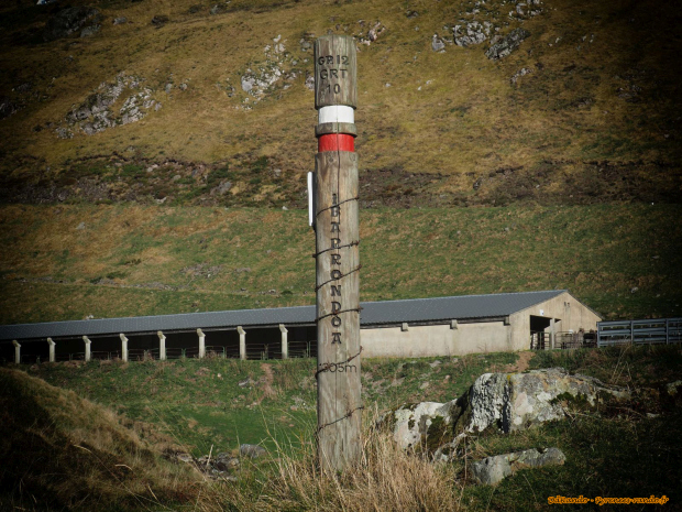 Orhy-016.JPG