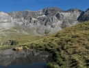 Munia0.jpg